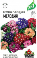 Вербена Мелодия*, гибридная (смесь) 0,05 г ХИТ х3  
