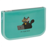 Пенал 1 отделение, 200*130 ArtSpace "Cat Boss", ламинированный картон ПК1_49665