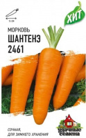Морковь Шантенэ 2461 1,5 г ХИТ х3