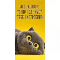 Конверт для денег "ЭТОТ КОНВЕРТ ТОЧНО ПОДНИМЕТ ТЕБЕ НАСТРОЕНИЕ" Кот на жёлтом фоне