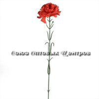 Гвоздика  1 цветок 54см цветная ОТ-60