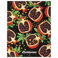 Дневник 5-11 класс 48л, твердый, BRAUBERG, блестки, с подсказом, Гранаты, 106639
